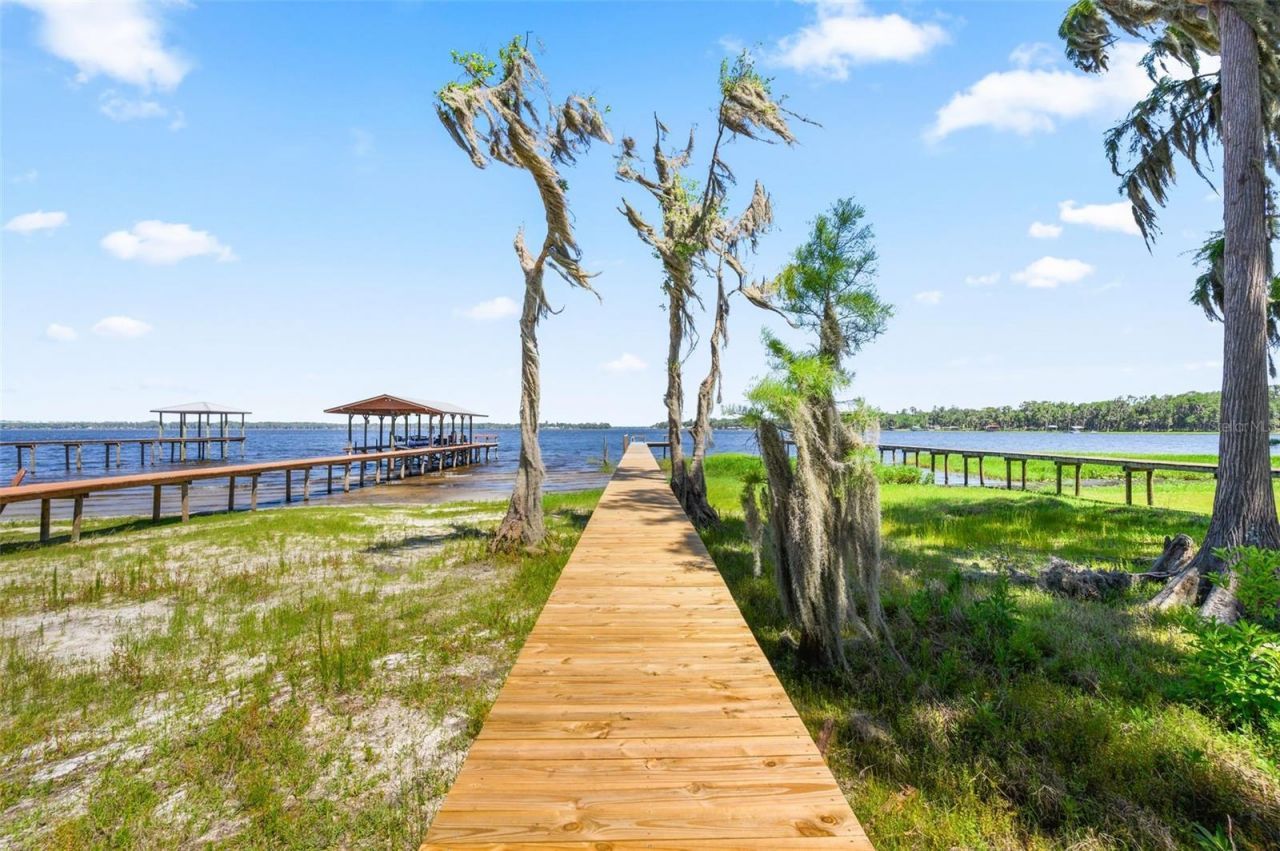 12525 NE 204th Terrace , Waldo, FL 32694 Photo