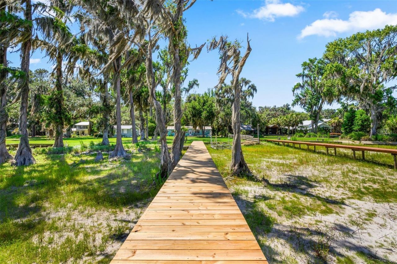 12525 NE 204th Terrace , Waldo, FL 32694 Photo