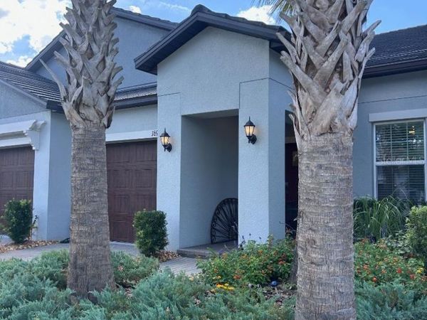 16919 FORGE SURF STREET , LAND O LAKES, FL 34638