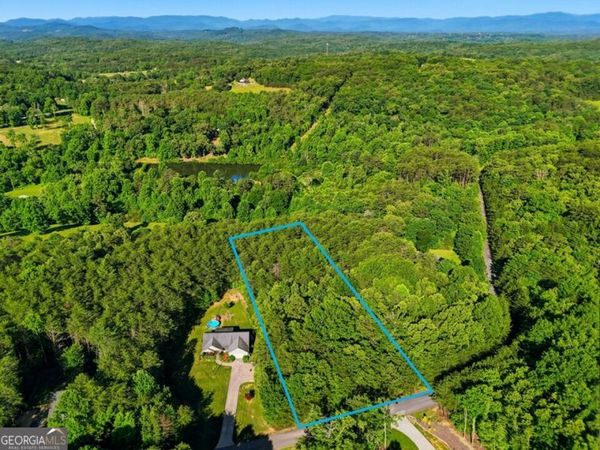 0 Autumn Ridge Drive, Mineral Bluff, GA 30559