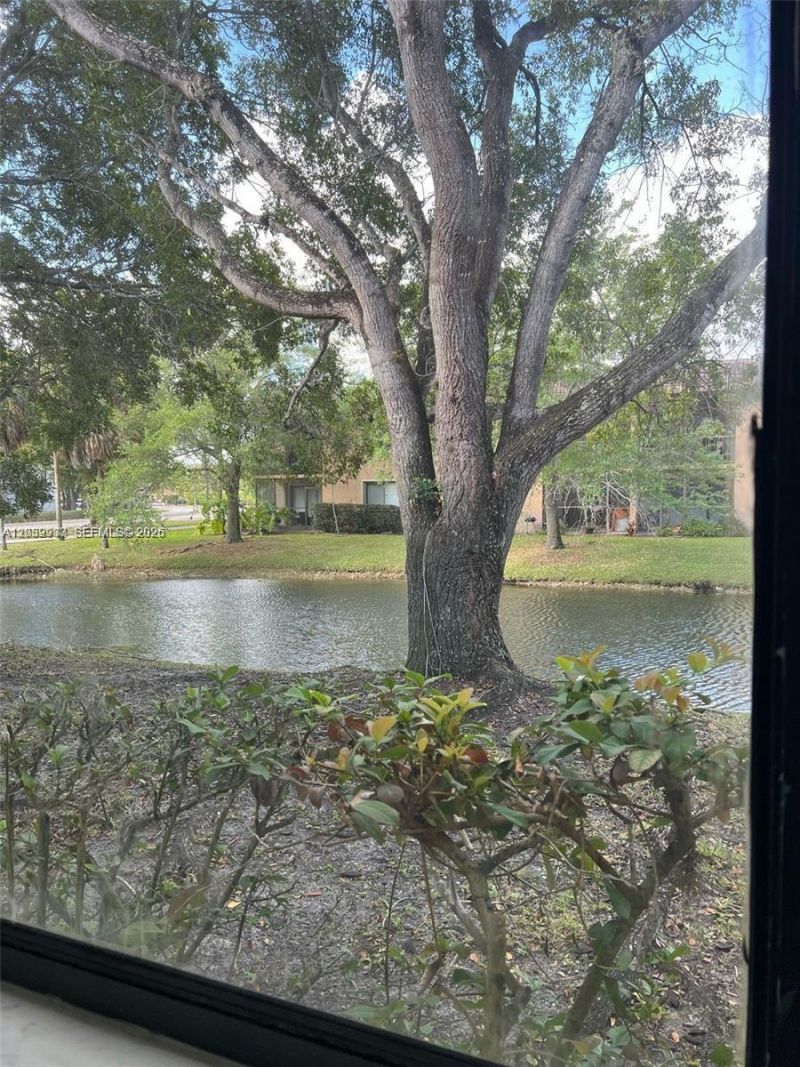 183 Lakeview Dr , Unit 103, Weston, FL 33326 Photo