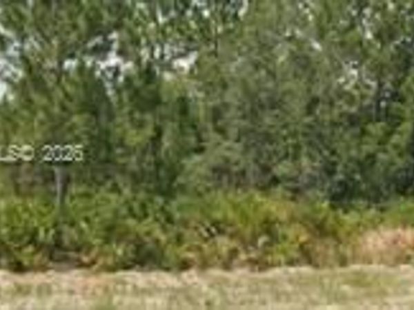 3011 W Dixon Rd , Avon Park, FL 33825