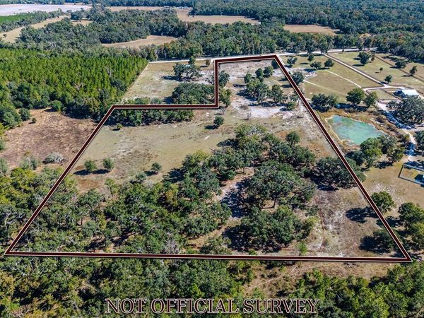 1325 NE 399th St, Old Town, FL 32680