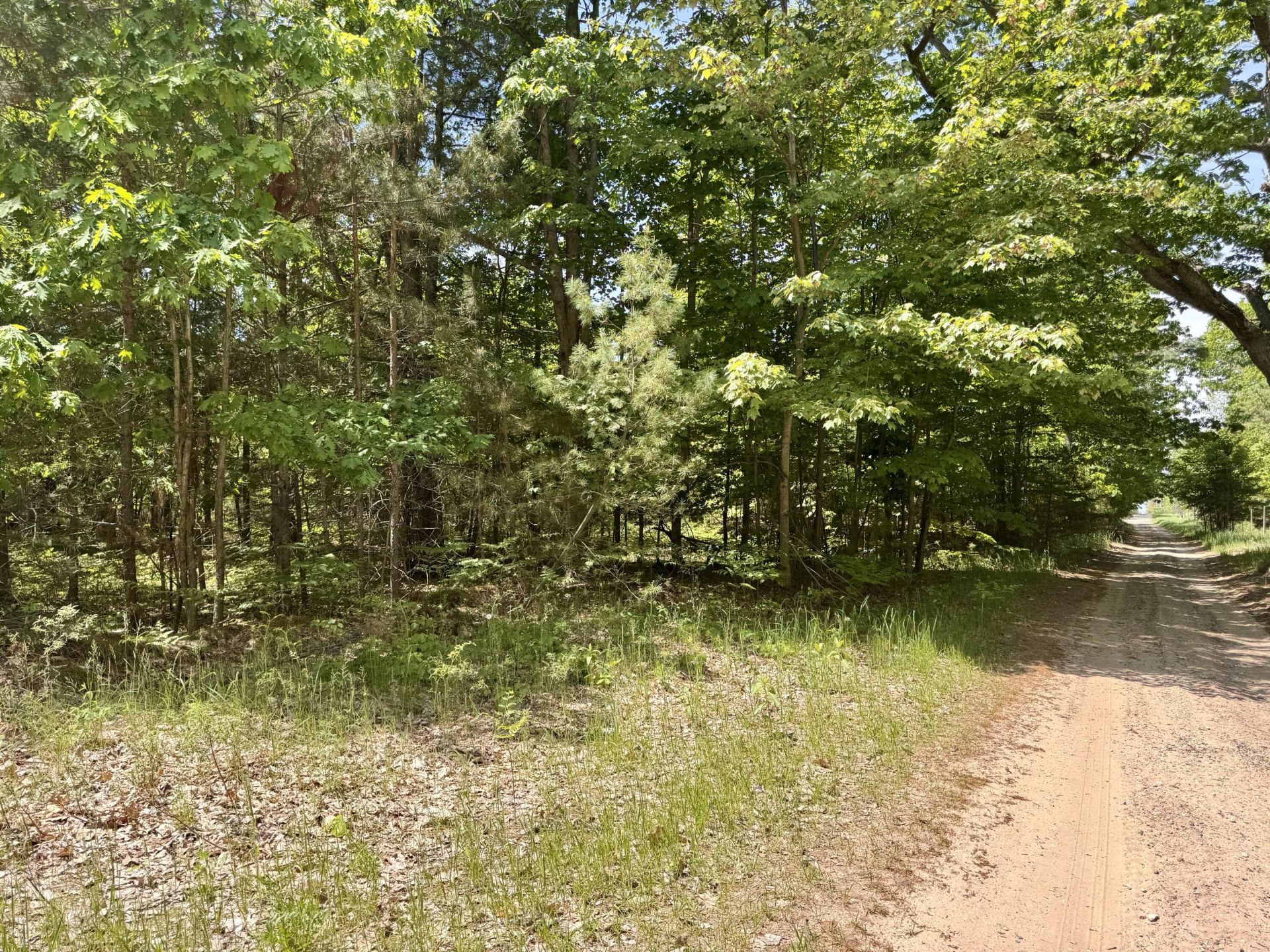 Par 5 Needles Road, Indian River, MI 49749 Main Photo