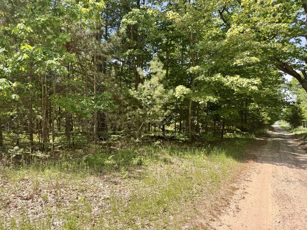 Par 5 Needles Road, Indian River, MI 49749