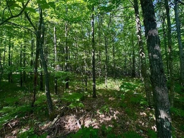 N8823 DICKERSON AVENUE, Willard, WI 54493
