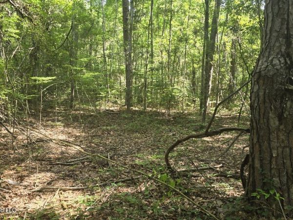 Addison Road , State Line, MS 39362