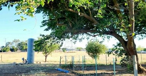 9244 Rogers Rd, Sacramento, CA 95829 Photo