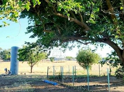 9244 Rogers Rd, Sacramento, CA 95829 Photo