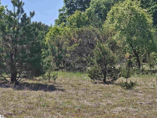 Grass Lake Road SE, Kalkaska, MI 49646