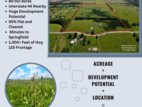 3246 N State Highway 125 , Strafford, MO 65757
