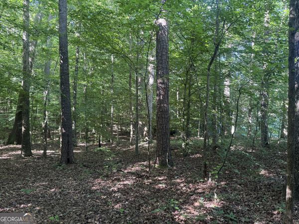 435 N 27 Highway, Roopville, GA 30170
