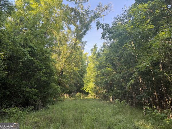 0 Branan Road, Toomsboro, GA 31090