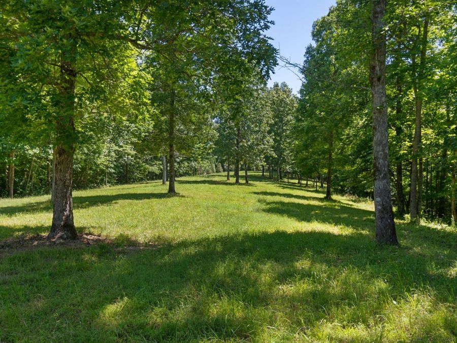 Property Image 54
