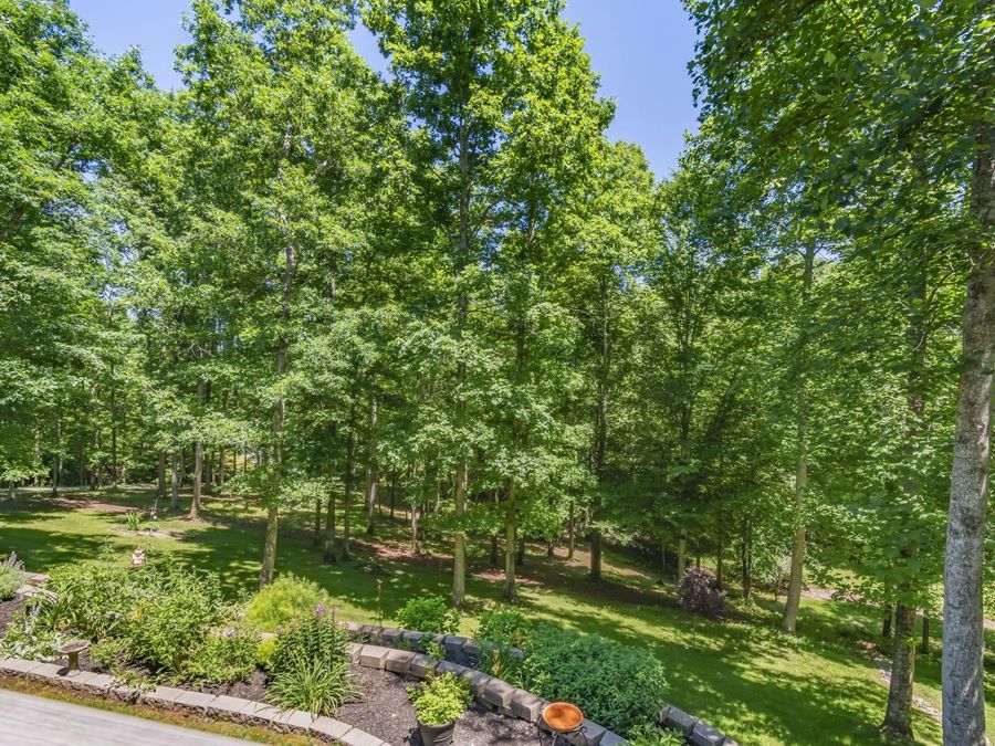 Property Image 56