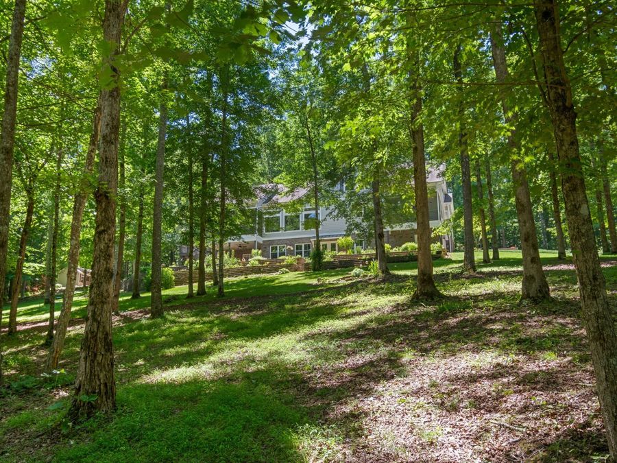 Property Image 63