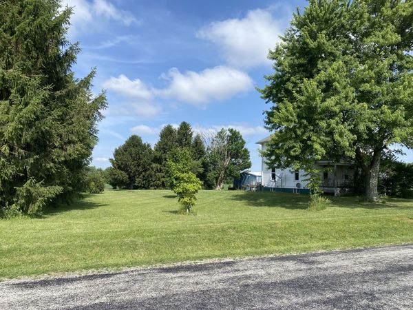 Pesotum, IL 61863