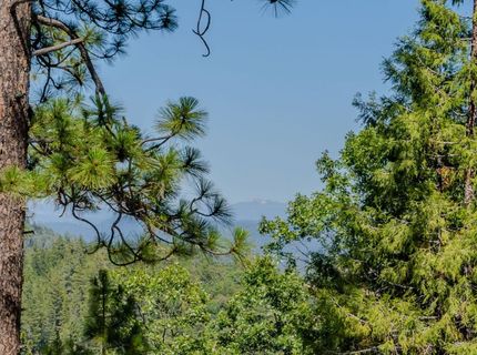 21120 Vista Amorosa Ct, Pine Grove, CA 95665 Photo