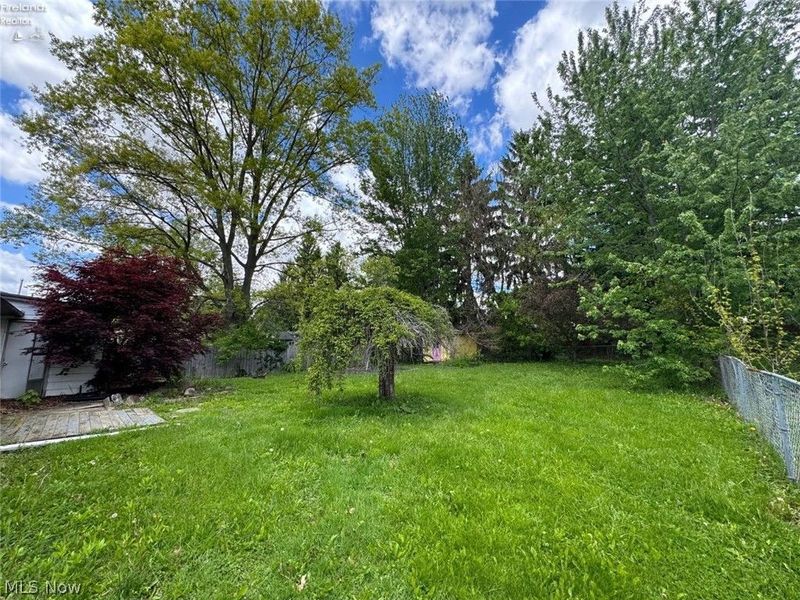 91 Birch Park Drive, New London, OH 44851 Photo 20