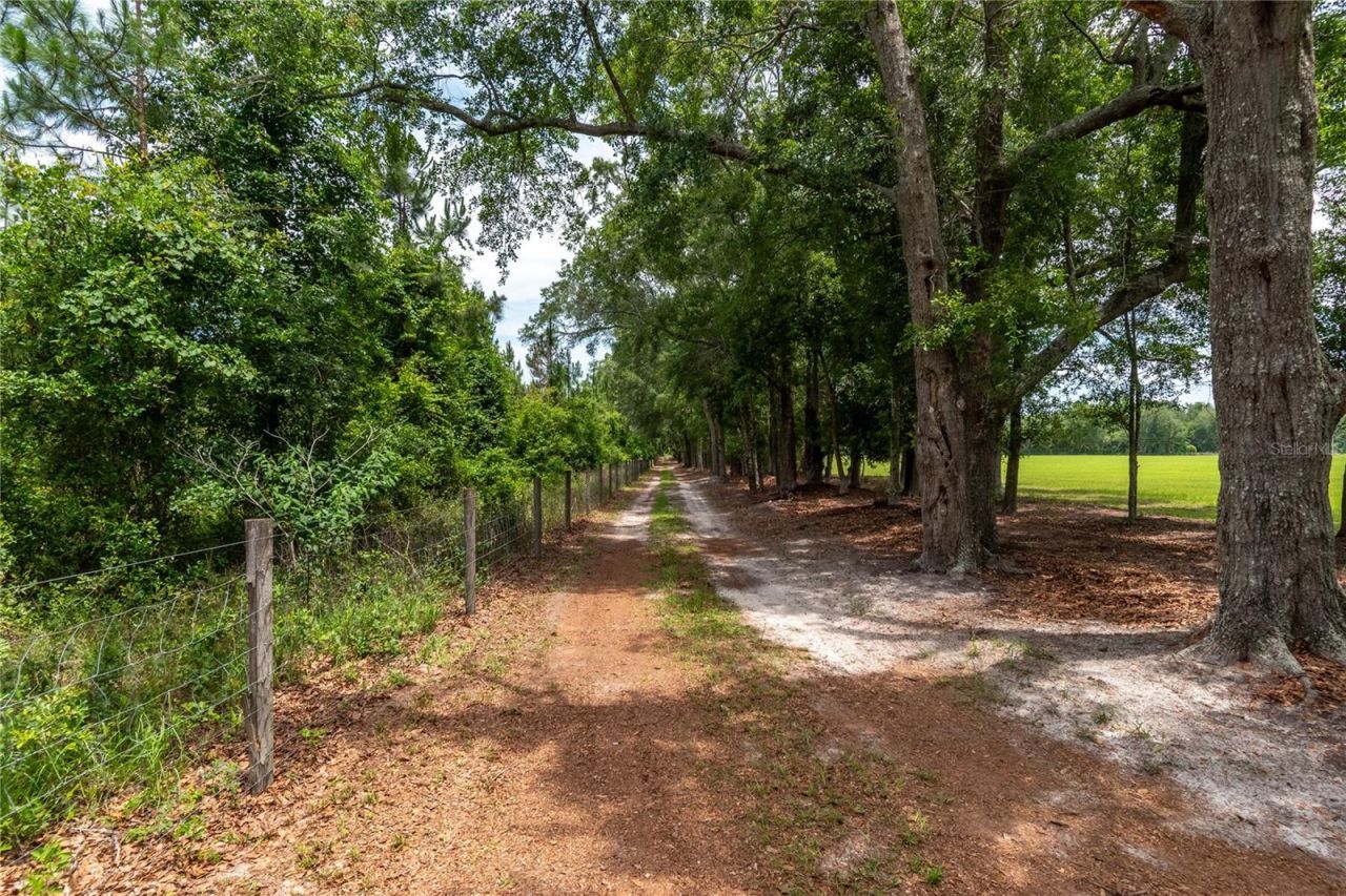 11990 156th Street, Mc Alpin, FL 32062 Photo