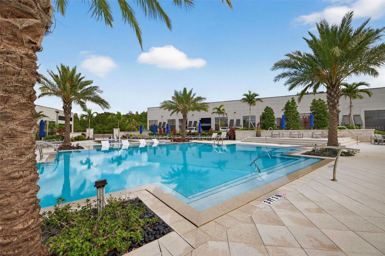 6500 Motor Enclave Way, Unit 814, Tampa, FL 33610 Photo