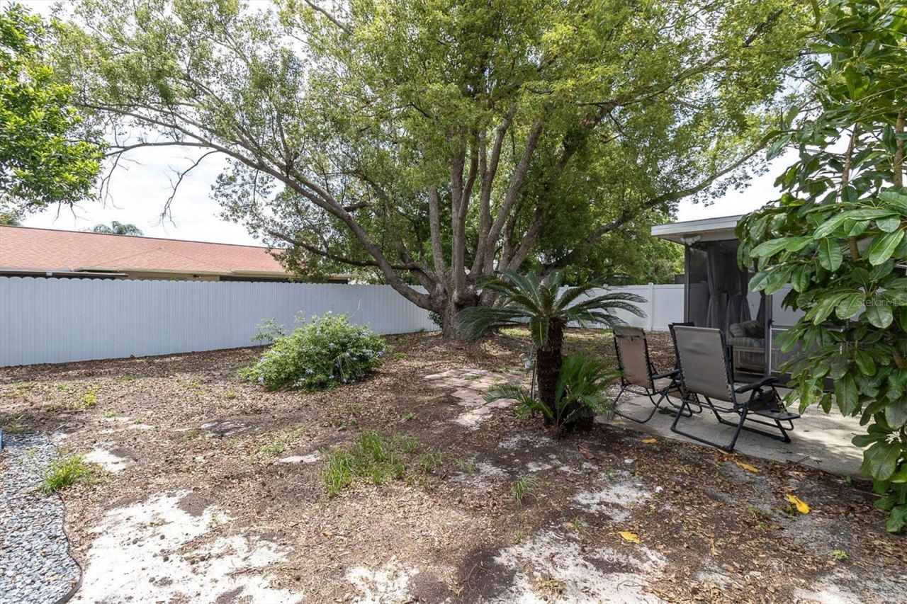 8038 Buttonball Lane , Port Richey, FL 34668 Photo
