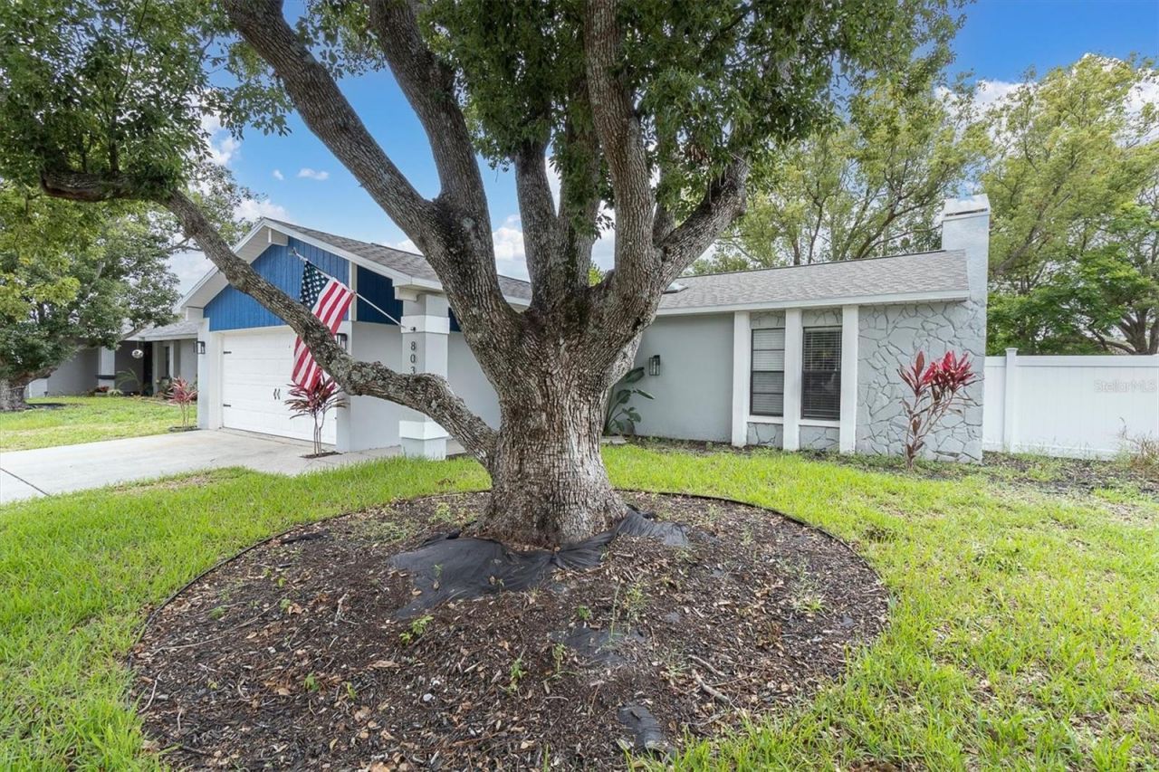 8038 Buttonball Lane , Port Richey, FL 34668 Photo