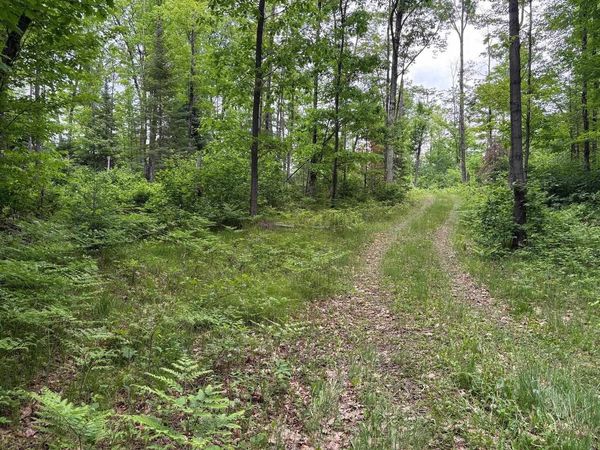 W15816 FAWN ACRES ROAD, Goodman, WI 54125