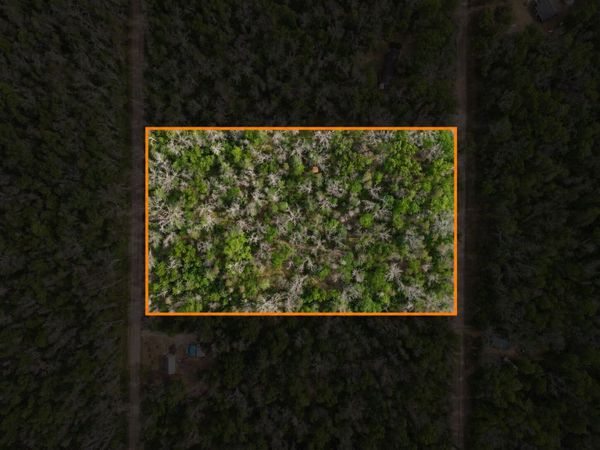 Dorsey Drive, Baldwin, MI 49304