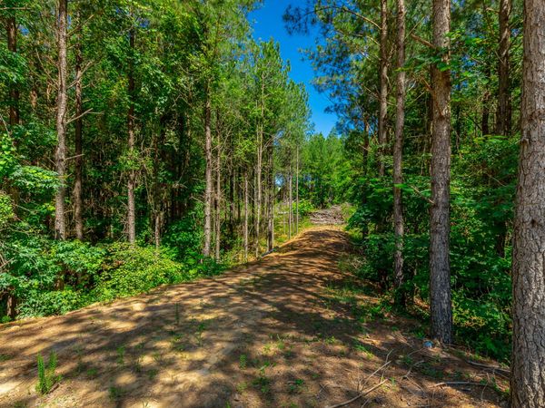 0 Split Rail Way, Guild, TN 37340