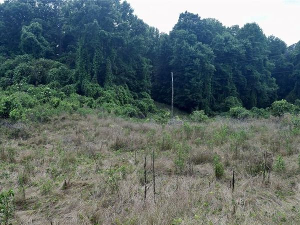 792 Lower Dowda Mill Road , Jasper, GA 30143