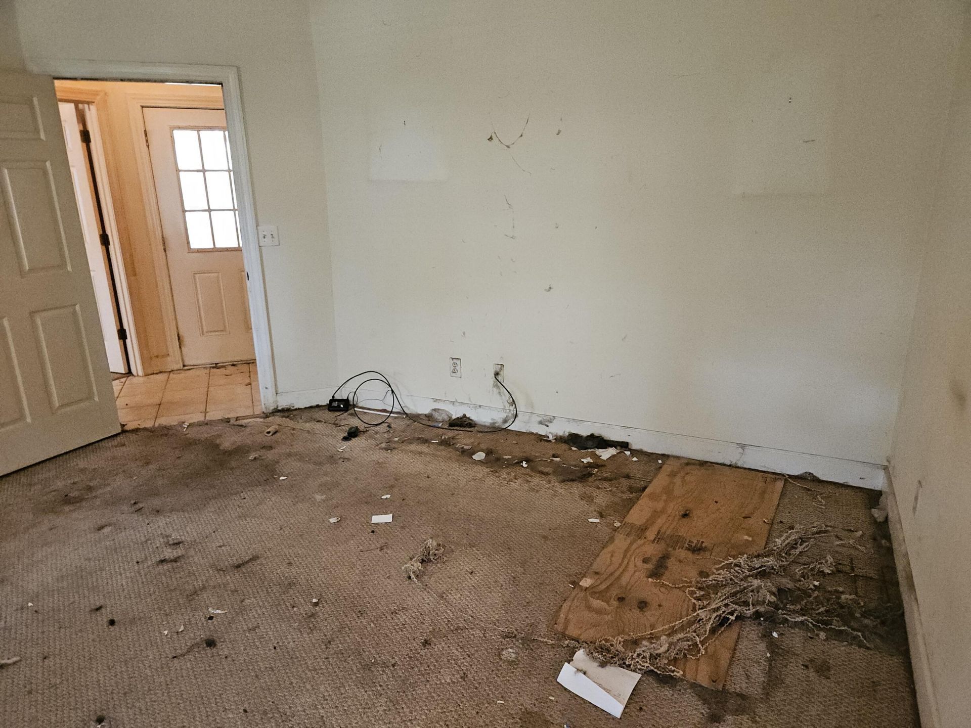 2827 Sweetleaf Lane Photo 16