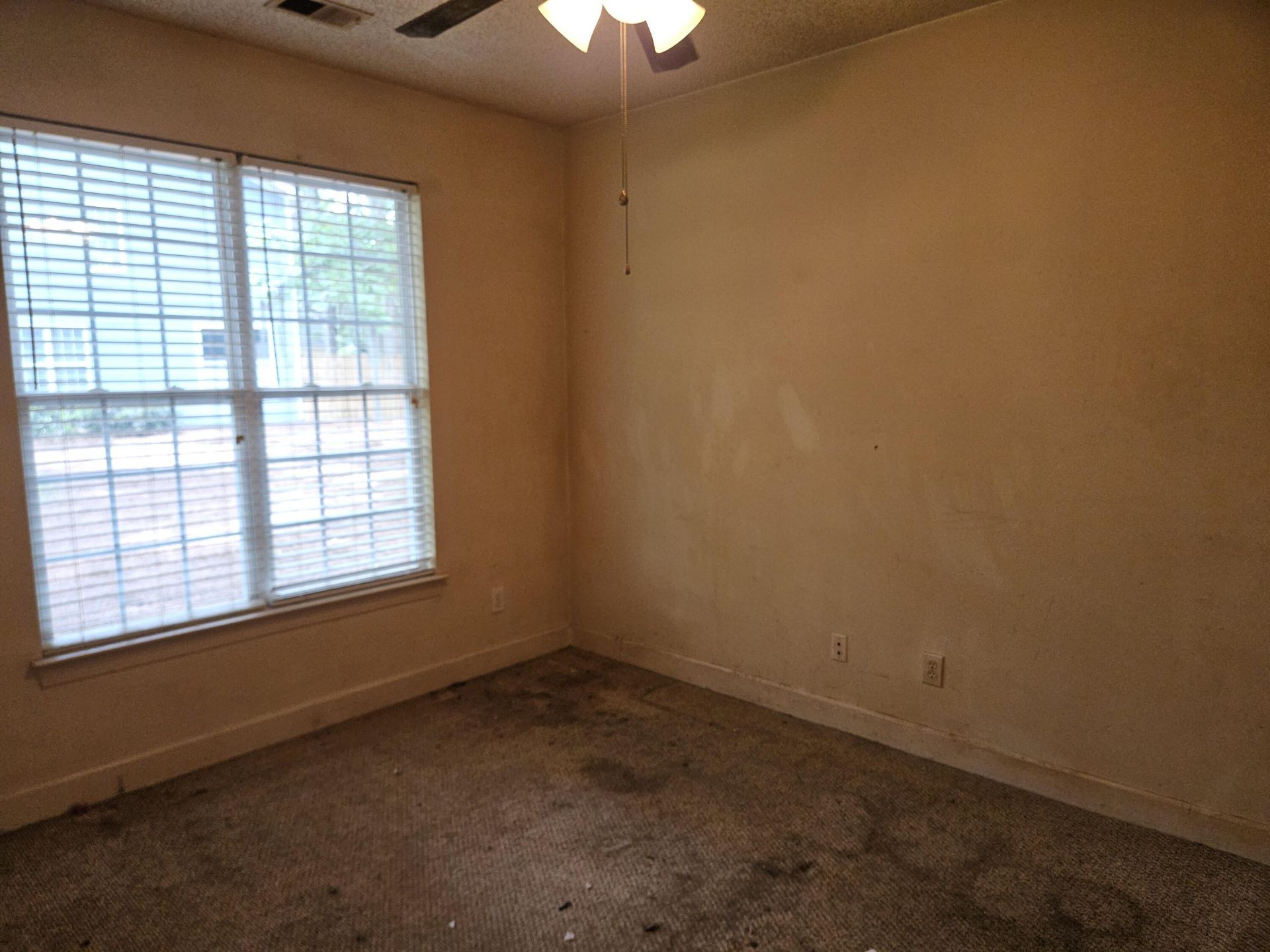2827 Sweetleaf Lane Photo 22