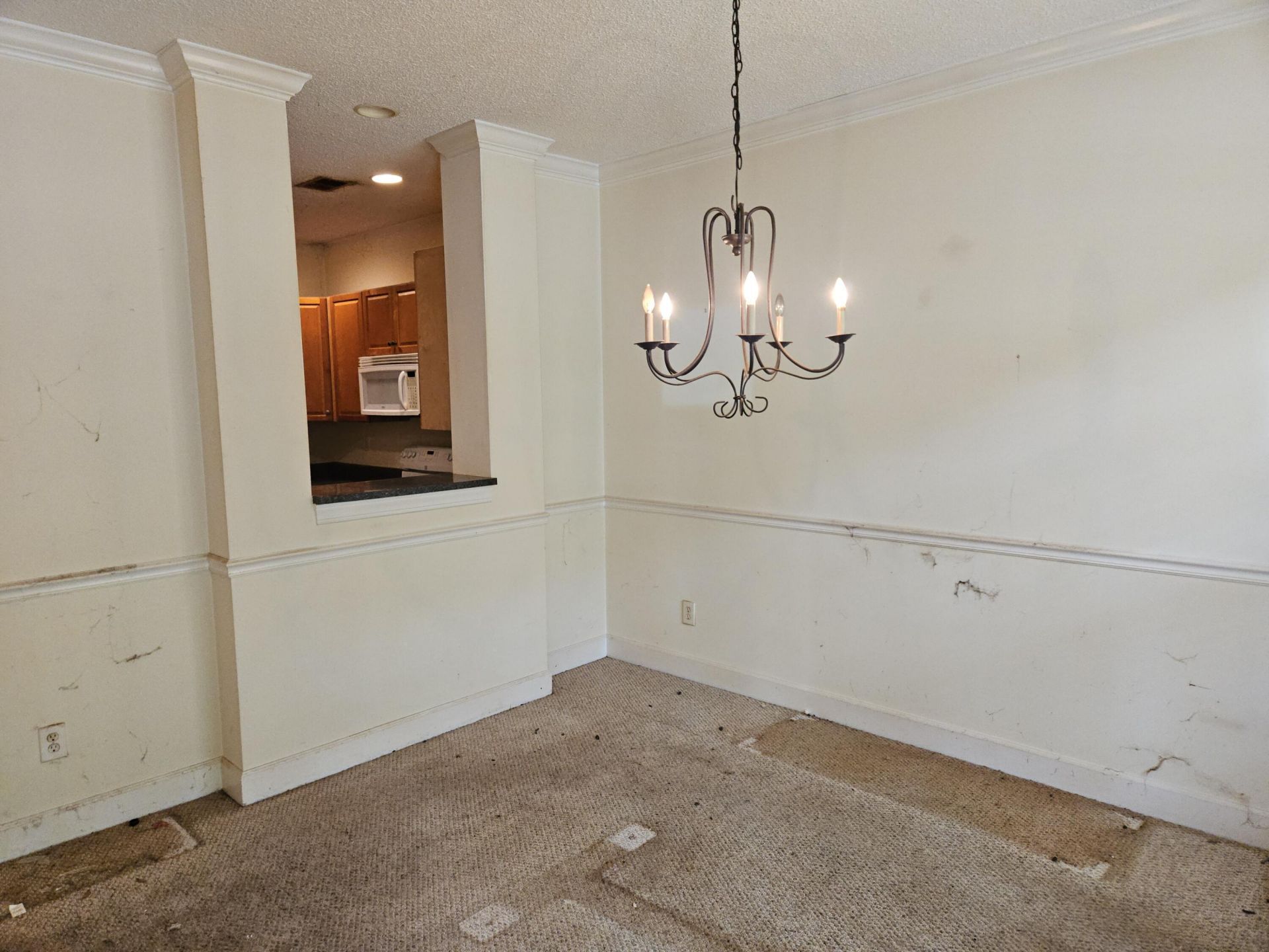 2827 Sweetleaf Lane Photo 3