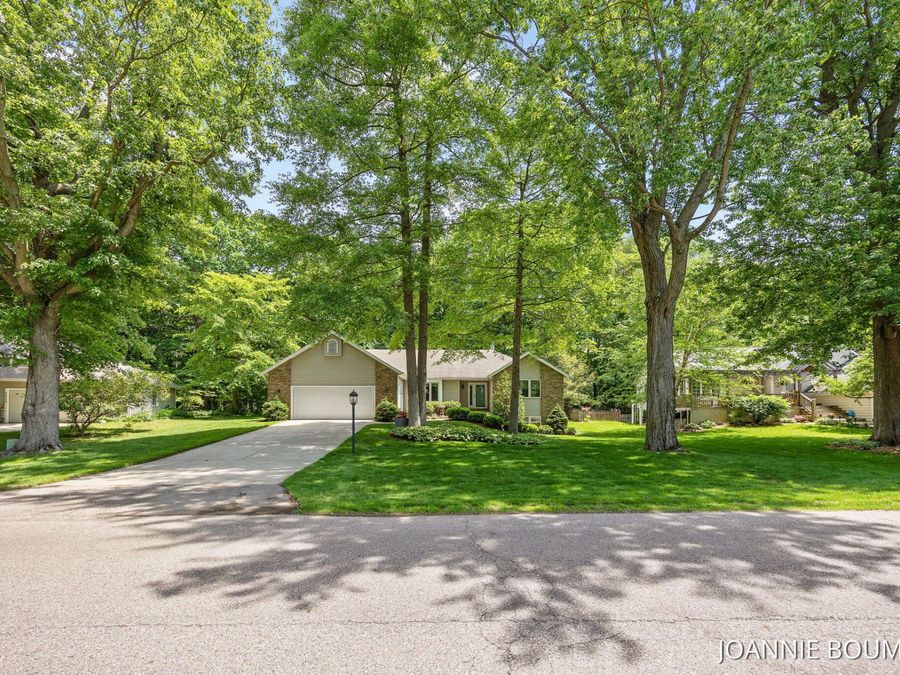 Property Image 42
