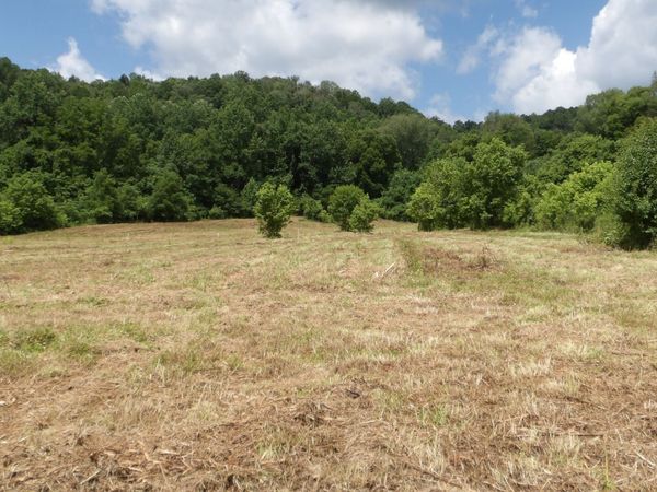 0 Lonnie Reecer Rd , Celina, TN 38551