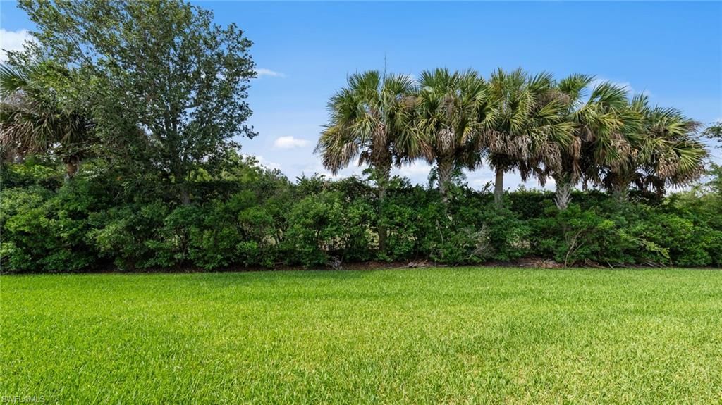 11544 Verandah Palm Ct, Fort Myers, FL 33905 Photo