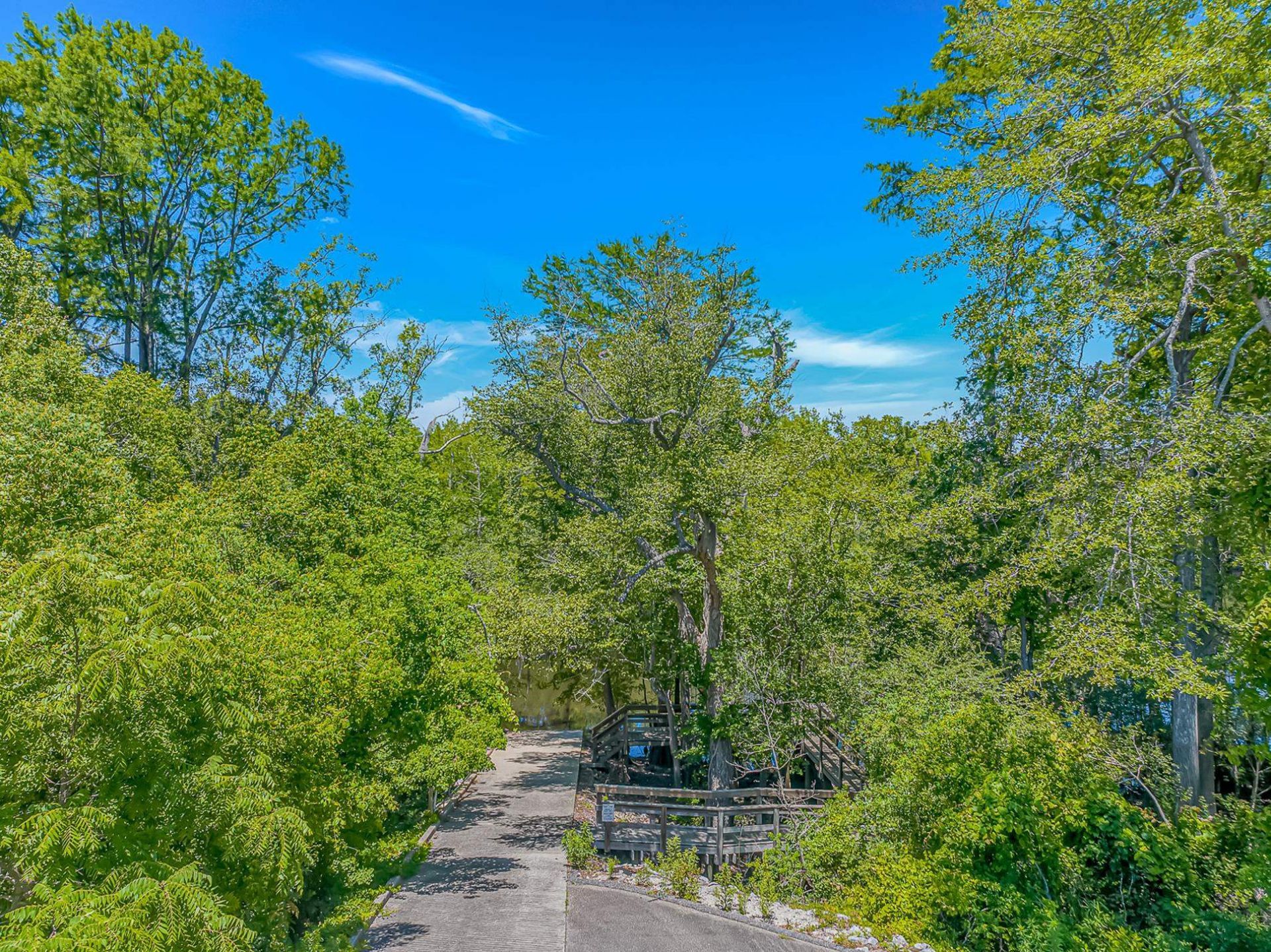 505 Oak Pond Ct. Photo 41