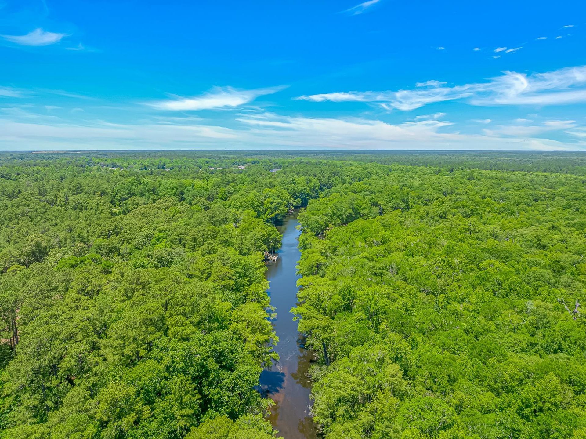 505 Oak Pond Ct. Photo 43