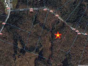 Olin Road , Lowville, NY 13367