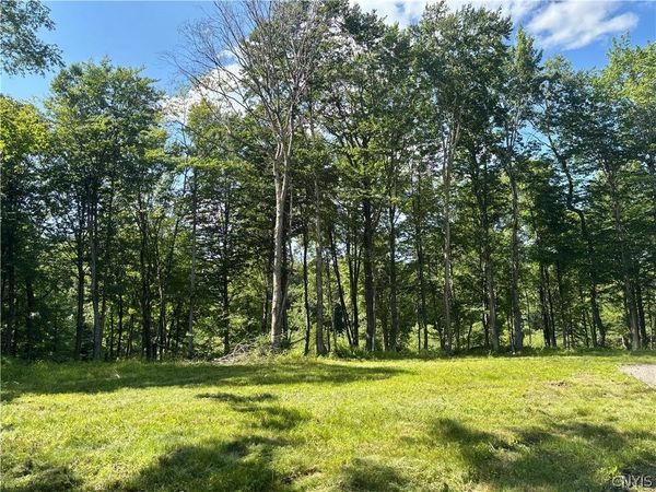 Olin Road, Lowville, NY 13367