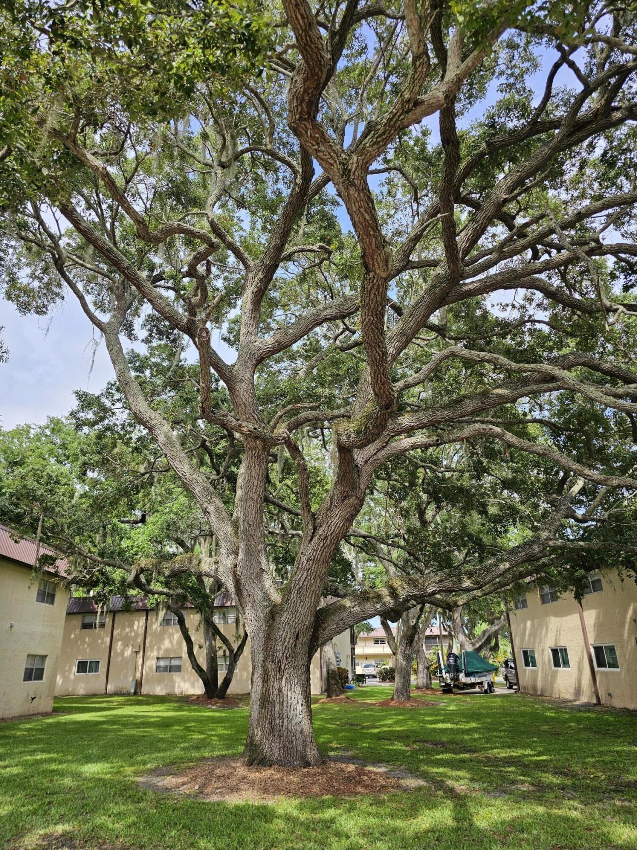 3124 SE Us Highway 441, Unit J8, Okeechobee, FL 34974 Photo