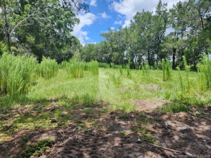 3300 SW Dunklin Avenue, Okeechobee, FL 34974 Photo