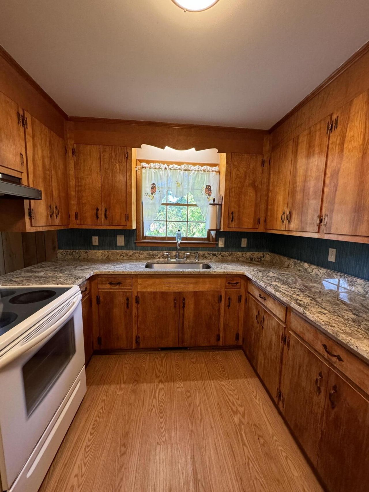 4220 Oakridge Drive Photo 8