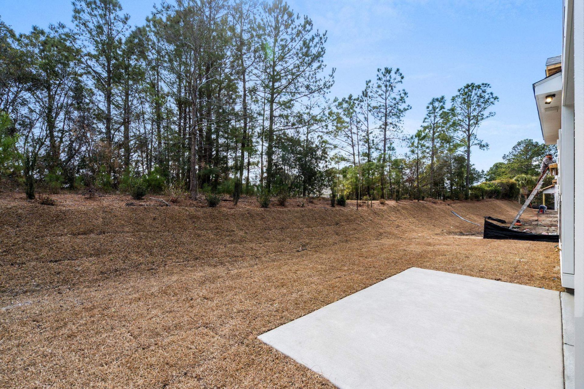 168 Arbor Ridge Circle Photo 26