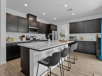 17516 Gemini Ct, Lathrop, CA 95330 Photo