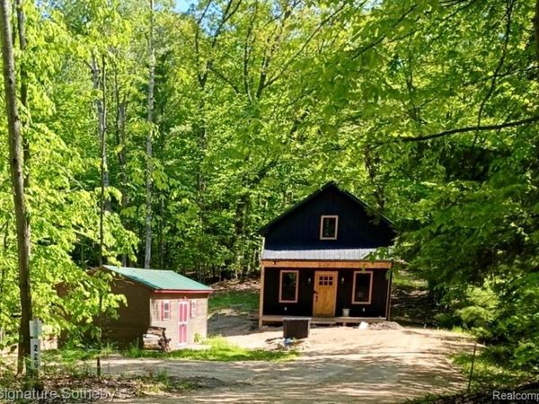 229 Forest Trail, Rose Lake Township, Mi 49655