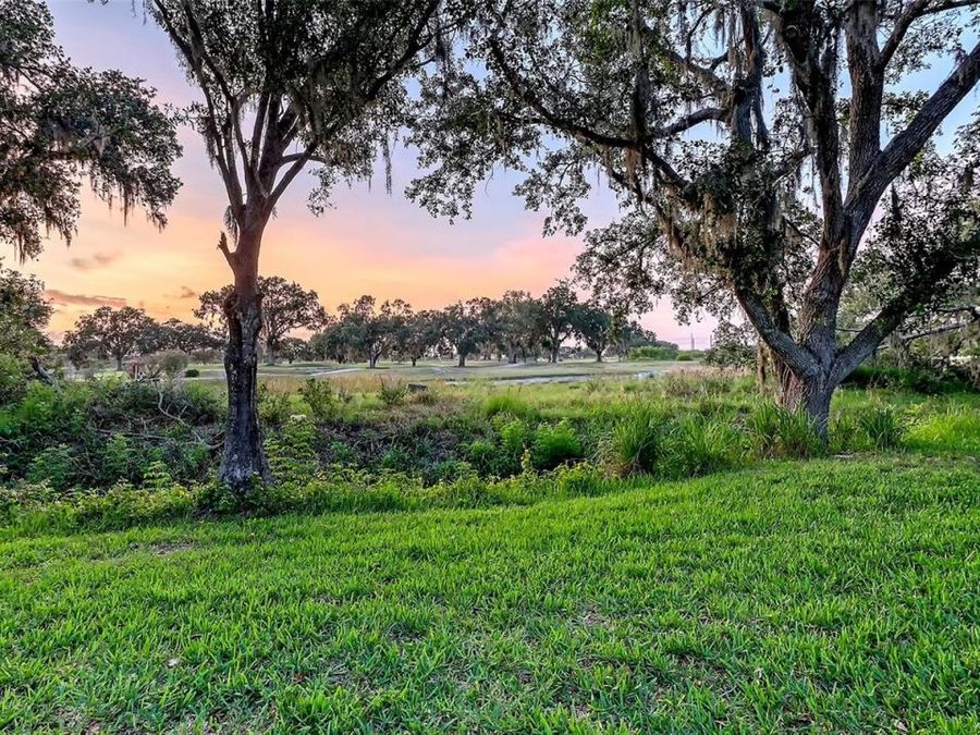 Property Image 85