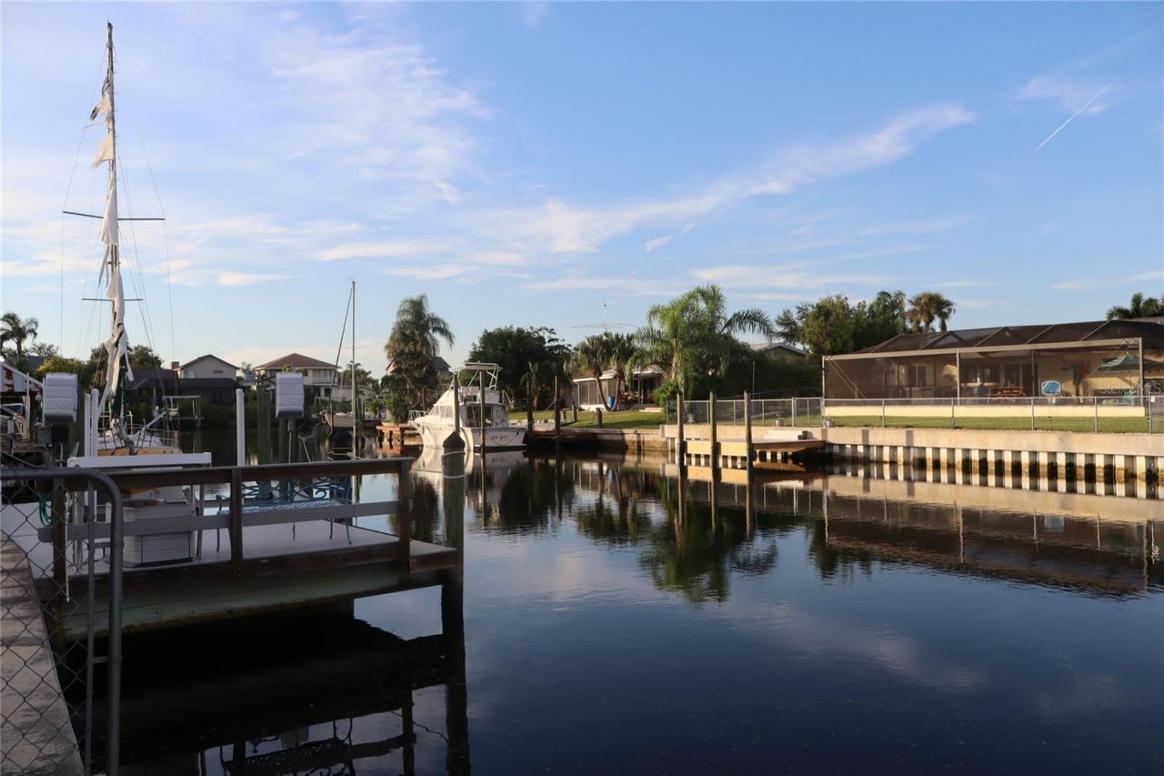 1019 Spindle Palm Way , Apollo Beach, FL 33572 Photo