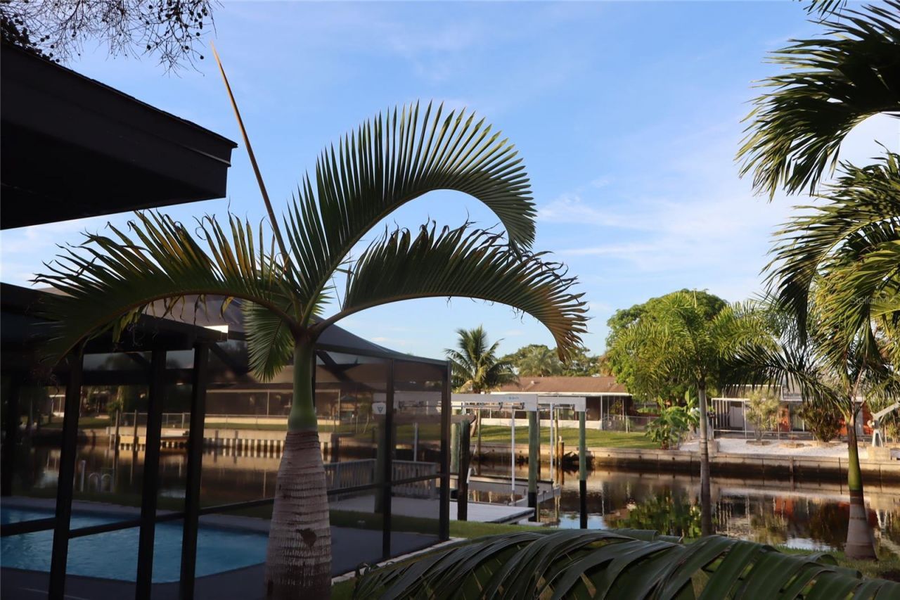 1019 Spindle Palm Way , Apollo Beach, FL 33572 Photo